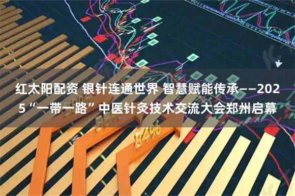 红太阳配资 银针连通世界 智慧赋能传承——2025“一带一路”中医针灸技术交流大会郑州启幕