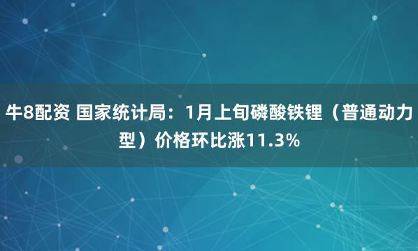 牛8配资 国家统计局：1月上旬磷酸铁锂（普通动力型）价格环比涨11.3%